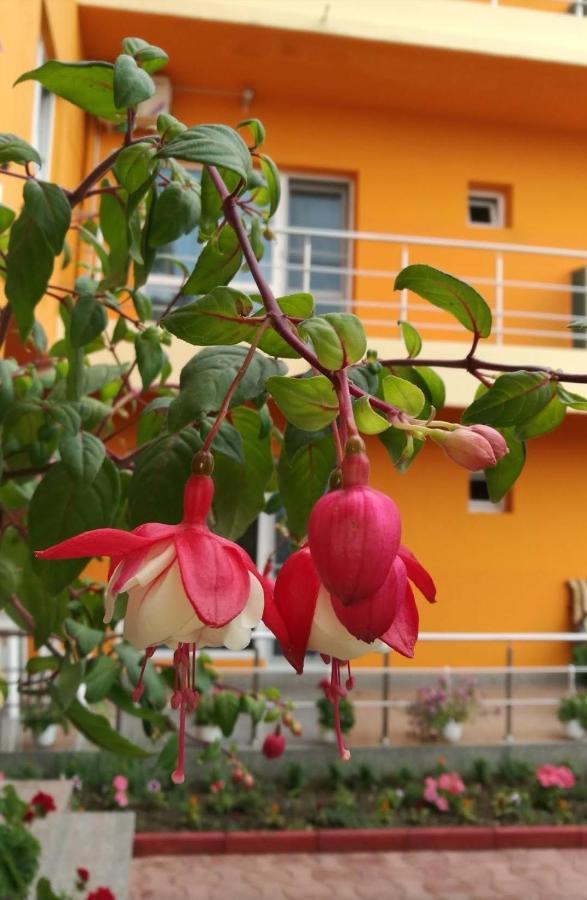 Vila Oranj Hotell Costinesti Exteriör bild